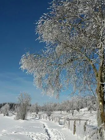 Zum Heideblick