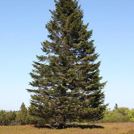 Apartment Zum Heideblick *