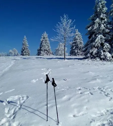 Zum Heideblick Apartment Winterberg
