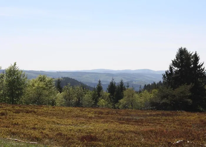 Apartment Zum Heideblick *