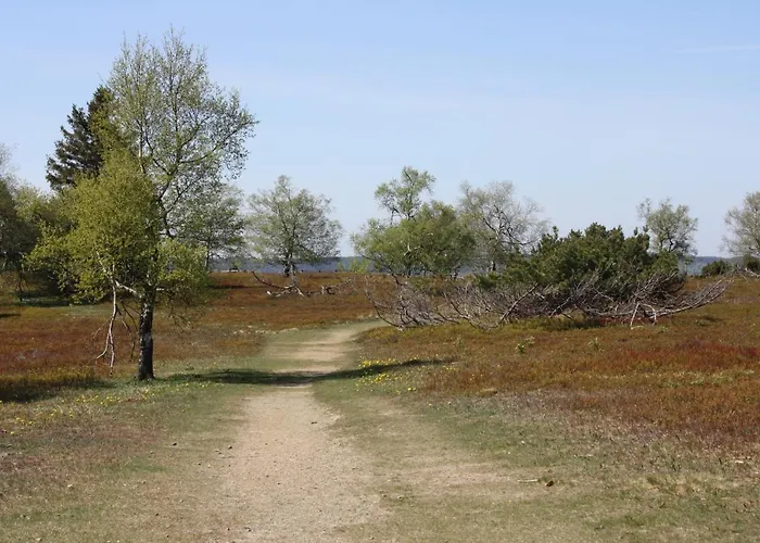 Apartment Zum Heideblick *
